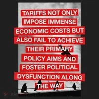 Tariffs Foster Political Dysfunction Trump  Hat thumb 2