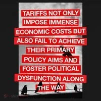 Tariffs Foster Political Dysfunction Trump  Toddler Hoodie thumb 2