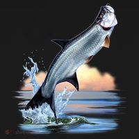 Tarpon Leap Ornament thumb 1