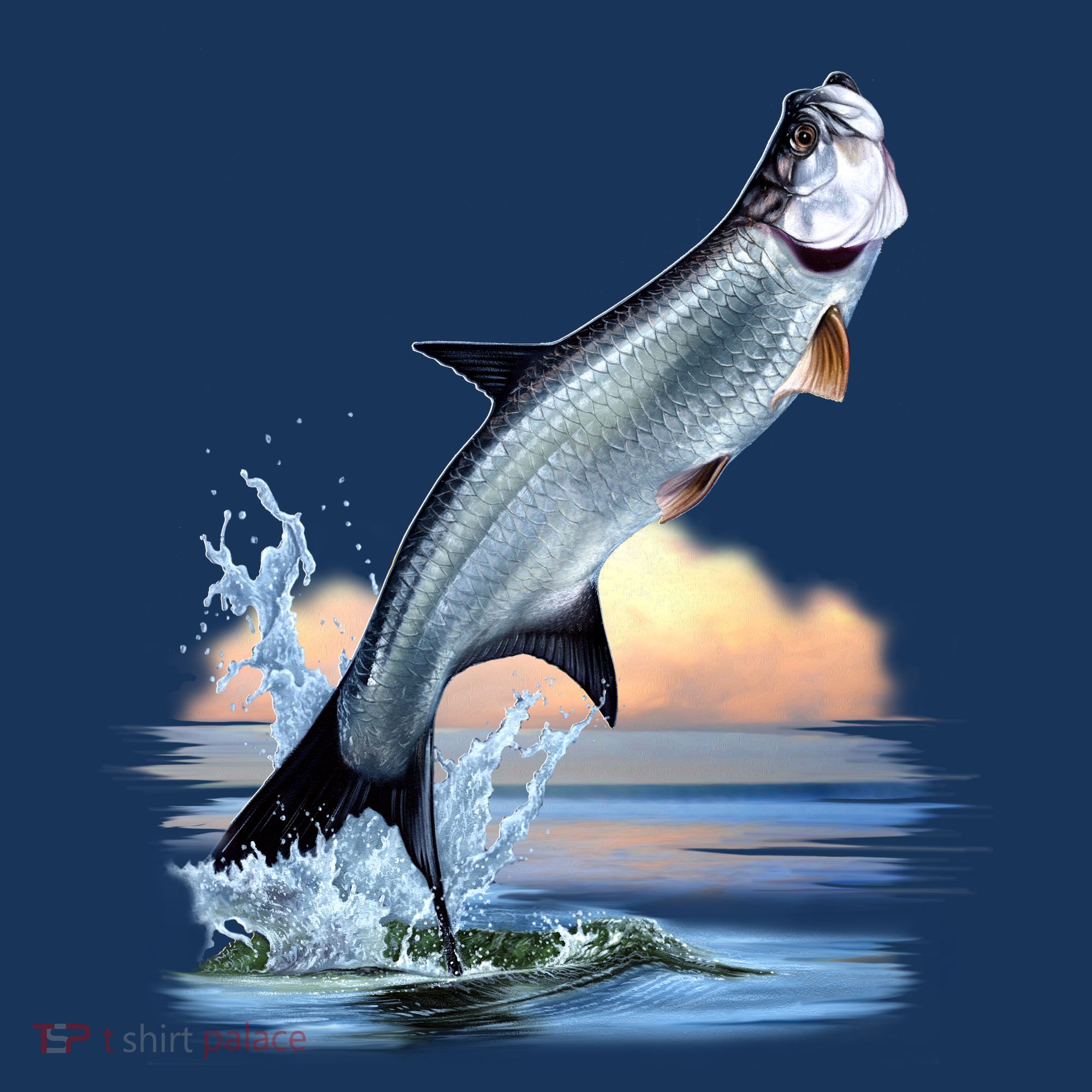 Tarpon Leap Women's Sweatshirt