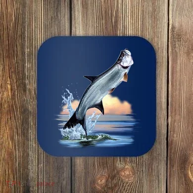 Coaster