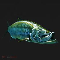 Tarpon Swimming Ornament thumb 1