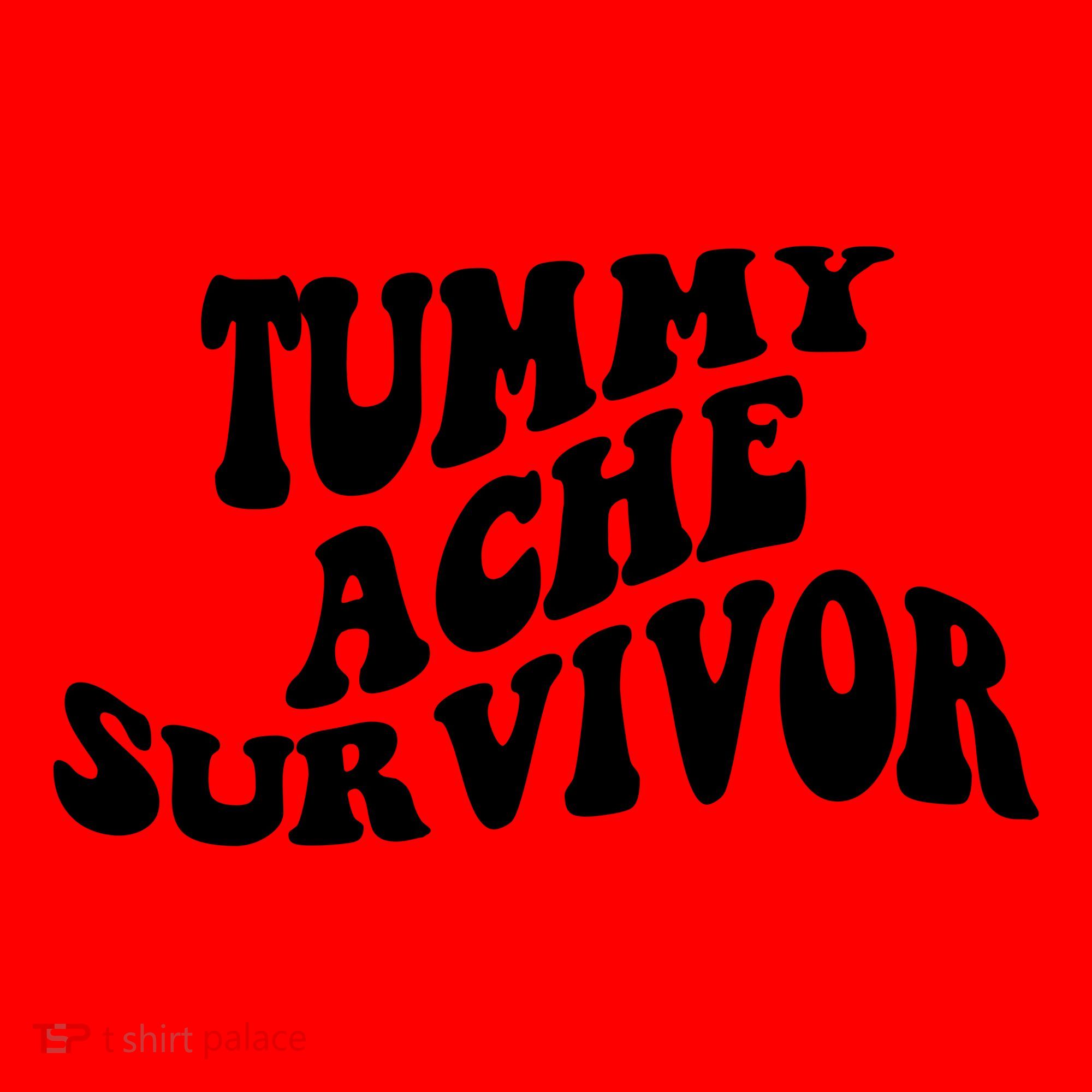 Tummy Ache Survivor Retro Santa Hat