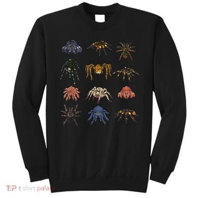 Tarantula Arthropod Spooky Halloween Arachnid Spider Sweatshirt