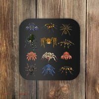 Tarantula Arthropod Spooky Halloween Arachnid Spider Coaster thumb 0
