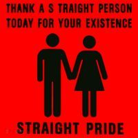 Thank A Straight Person Today For Your Existence Straight Pride Santa Hat thumb 1
