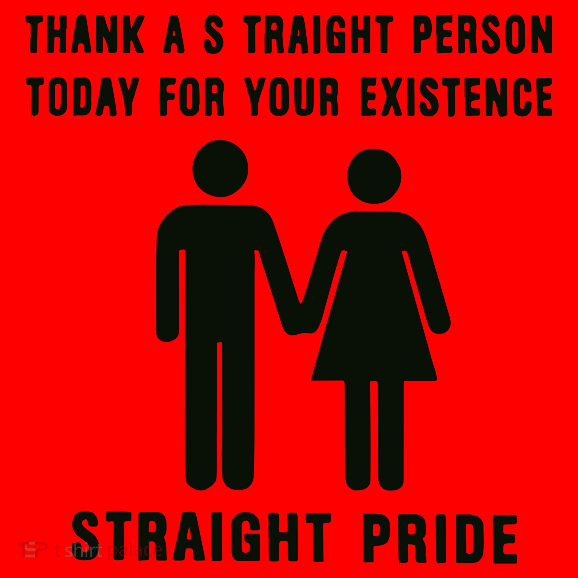 Thank A Straight Person Today For Your Existence Straight Pride Santa Hat