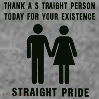 Thank A Straight Person Today For Your Existence Straight Pride Toddler Hoodie thumb 2