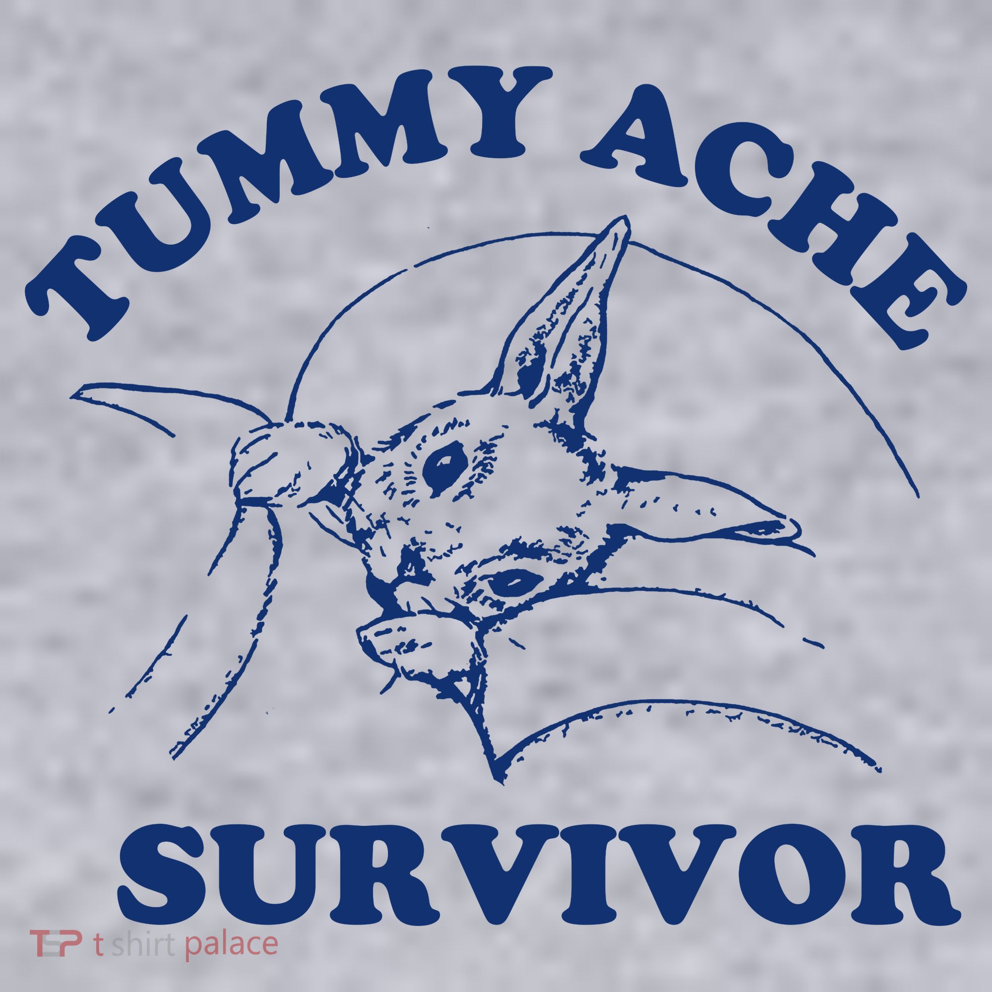 Tummy Ache Survivor Women's Sweatshirt