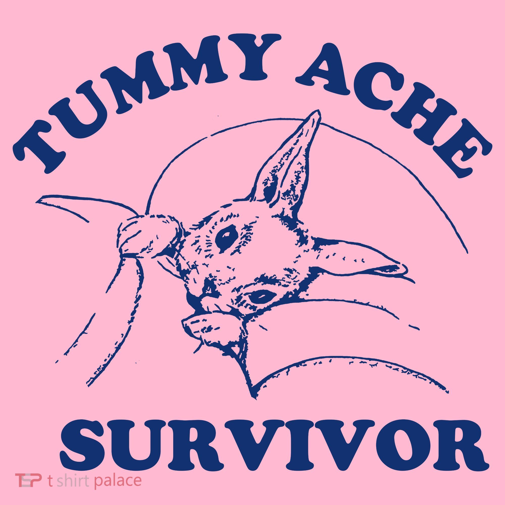 Tummy Ache Survivor Coaster