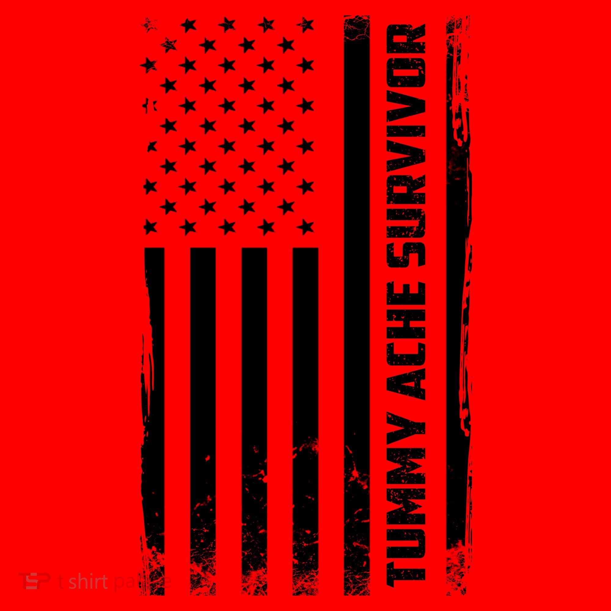 Tummy Ache Survivor American Flag Funny Santa Hat