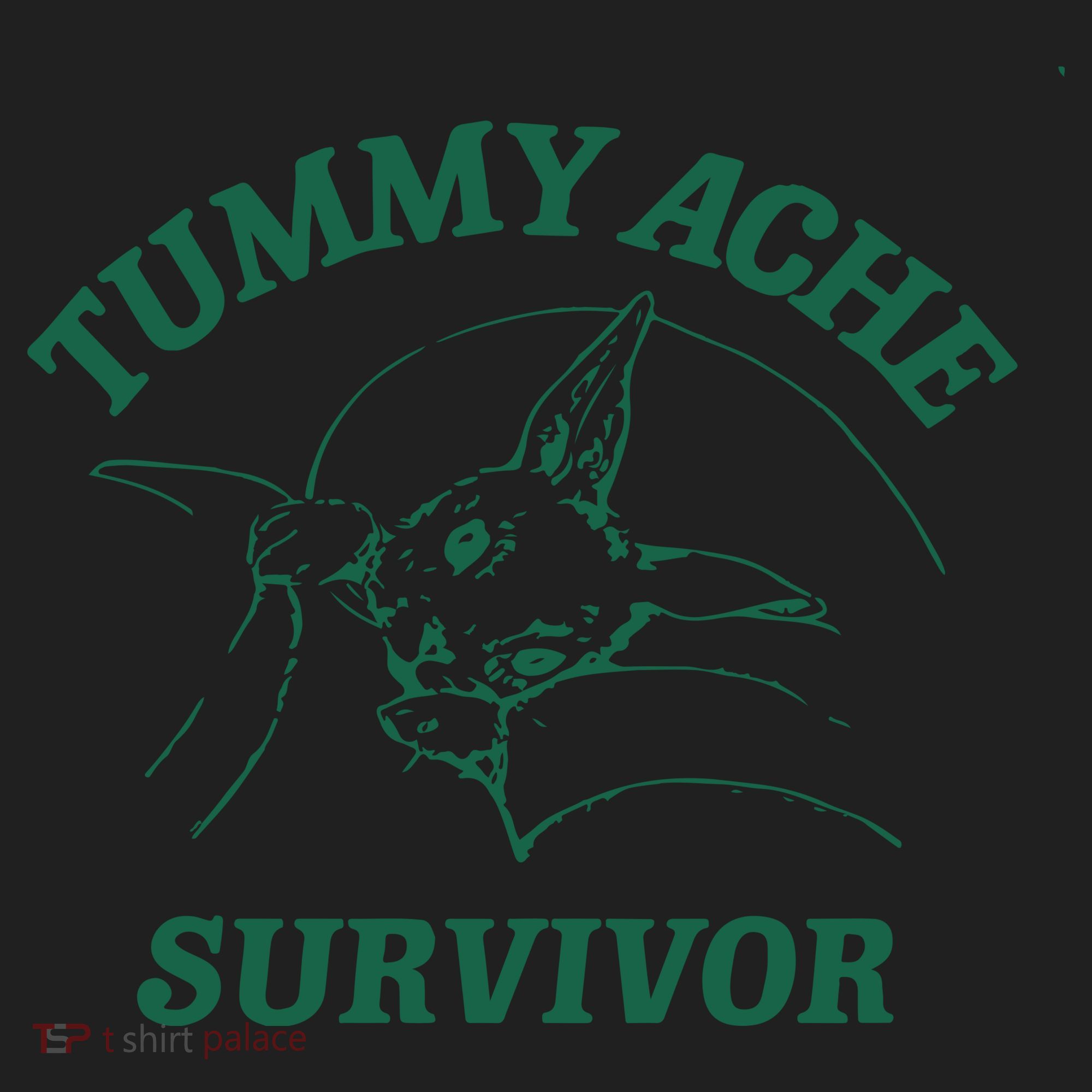 Tummy Ache Survivor Tummy Ache Women's Sweatshirt