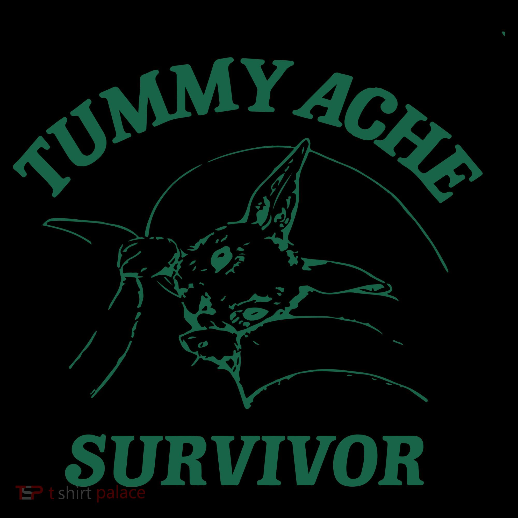 Tummy Ache Survivor Tummy Ache Coaster