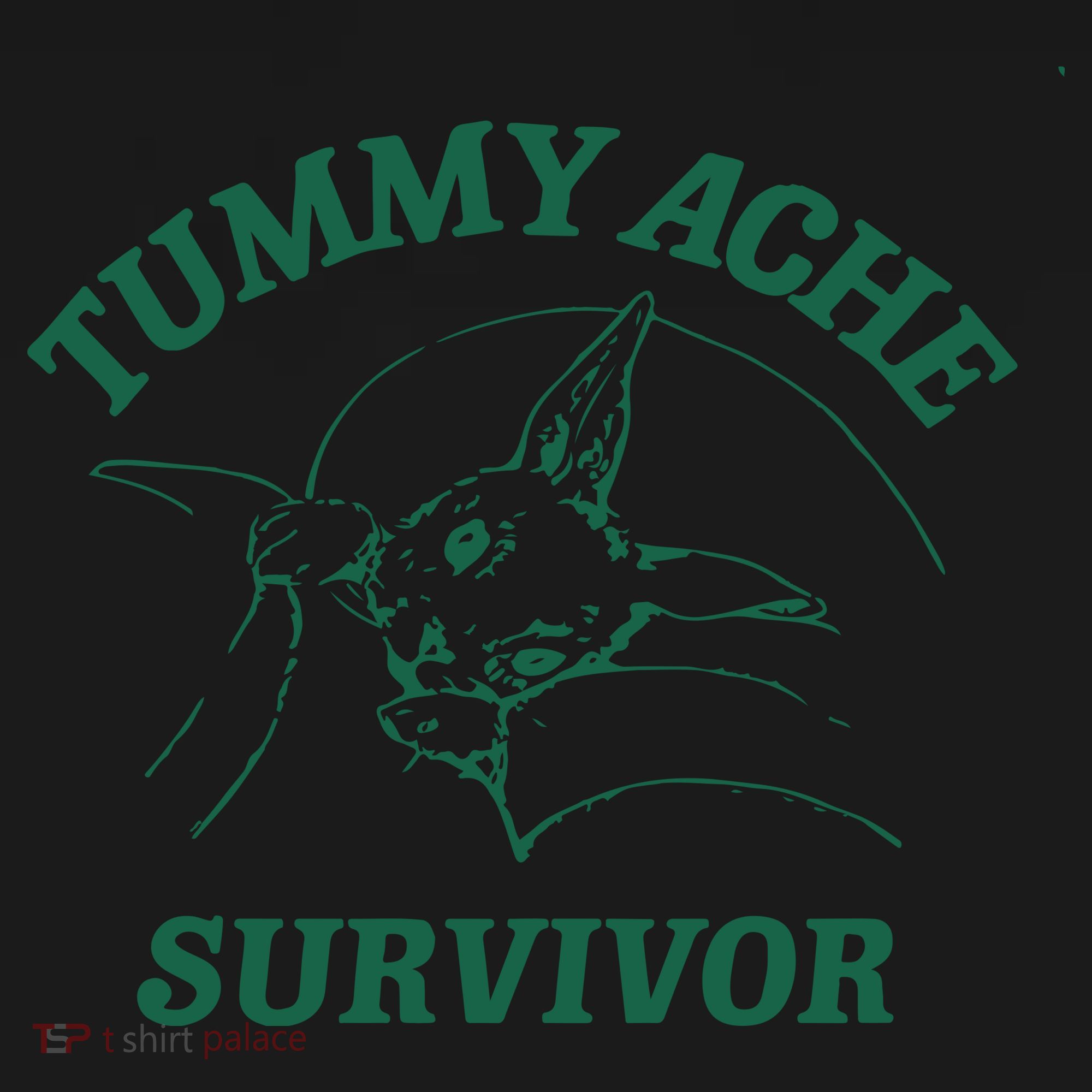 Tummy Ache Survivor Tummy Ache Toddler Hoodie