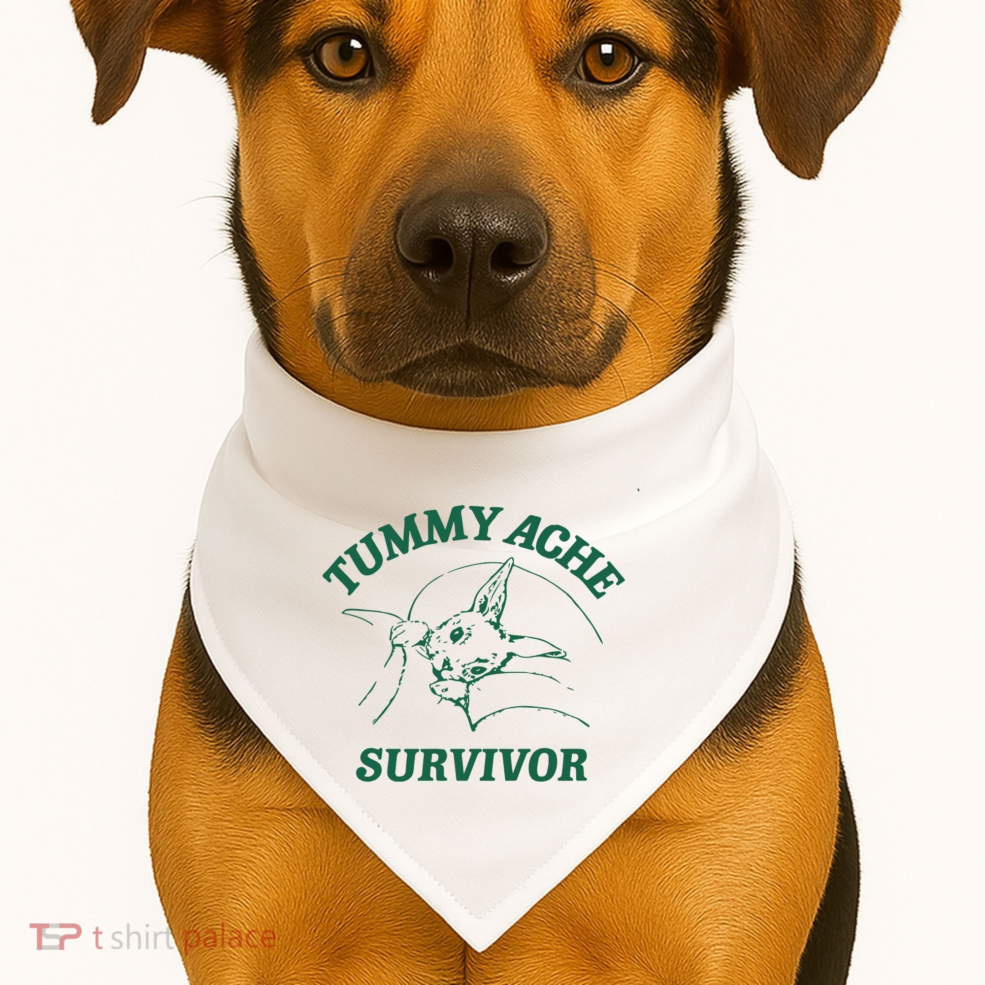 Tummy Ache Survivor Tummy Ache USA-Made Doggie Bandana