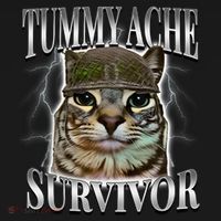 Tummy Ache Survivor Cat Meme Funny Saying Cats Animals  T-Shirt thumb 7