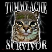 Tummy Ache Survivor Cat Meme Funny Saying Cats Animals  Coffee Mug thumb 5