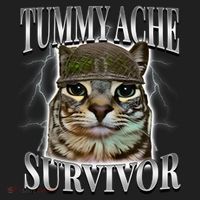 Tummy Ache Survivor Cat Meme Funny Saying Cats Animals  Beanie thumb 2