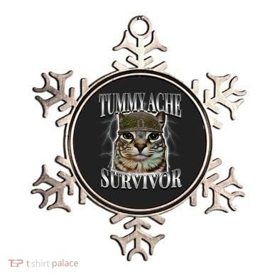 Tummy Ache Survivor Cat Meme Funny Saying Cats Animals  Ornament