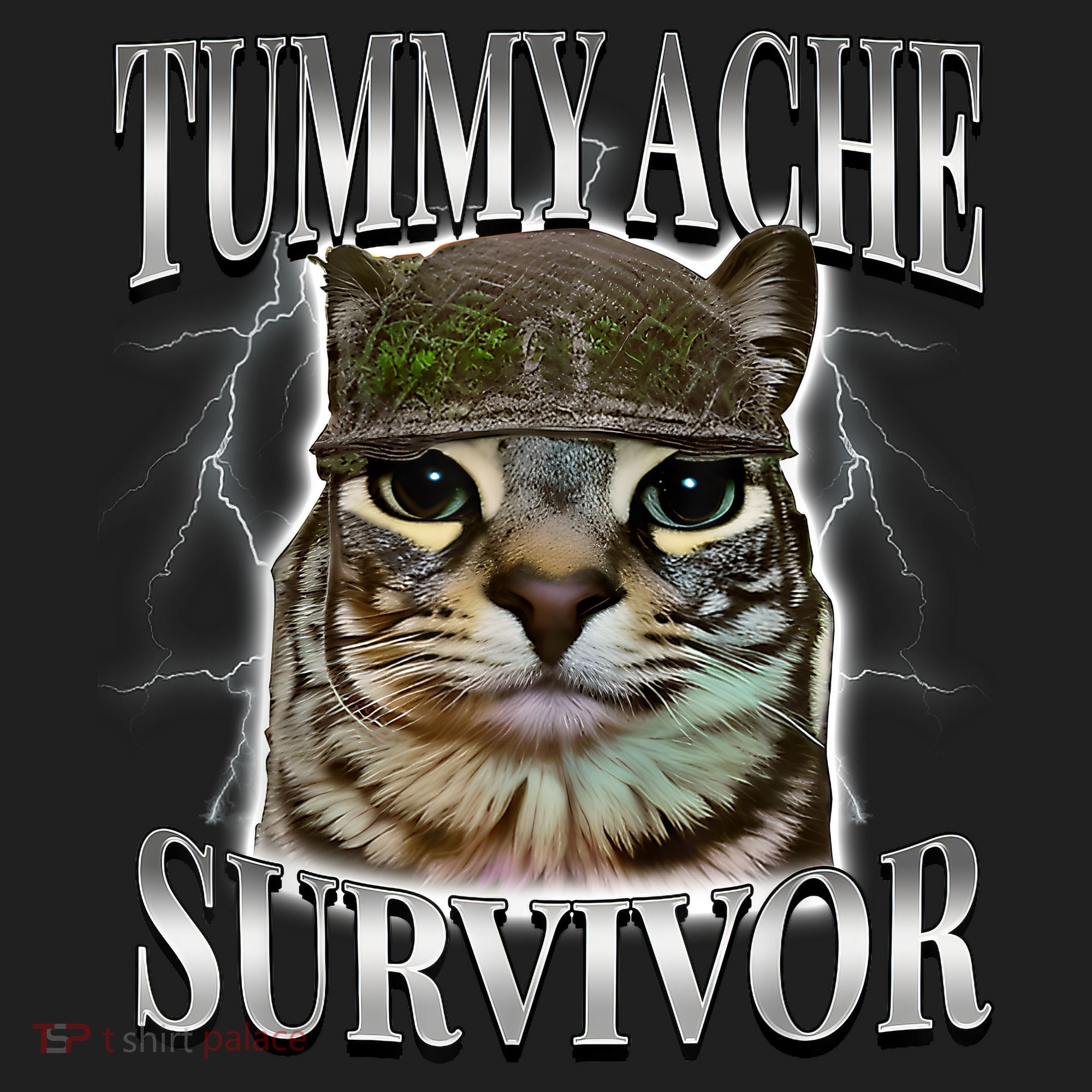 Tummy Ache Survivor Cat Meme Funny Saying Cats Animals  Hat