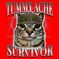 Tummy Ache Survivor Cat Meme Funny Saying Cats Animals  Santa Hat thumb 1