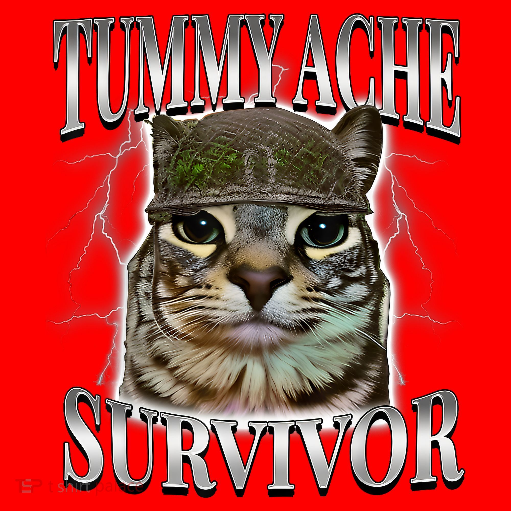 Tummy Ache Survivor Cat Meme Funny Saying Cats Animals  Santa Hat