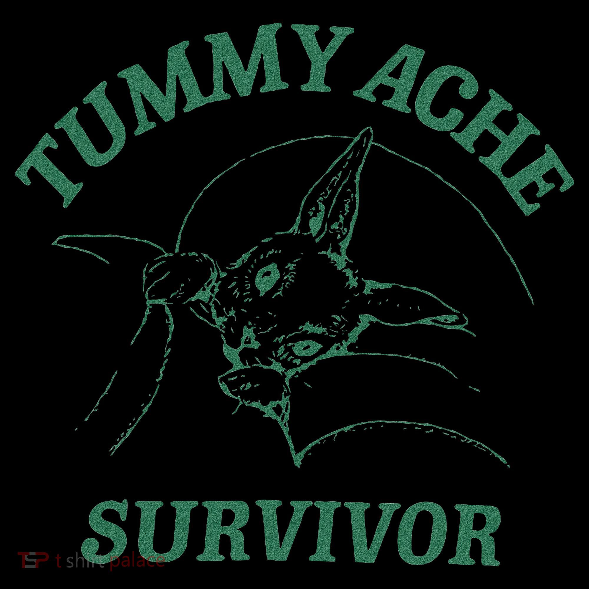 Tummy Ache Survivor Funny Rabbit Meme Bunny Lover Women's T-Shirt