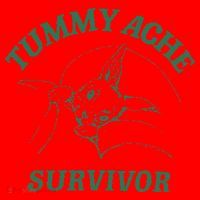 Tummy Ache Survivor Funny Rabbit Meme Bunny Lover Santa Hat thumb 1