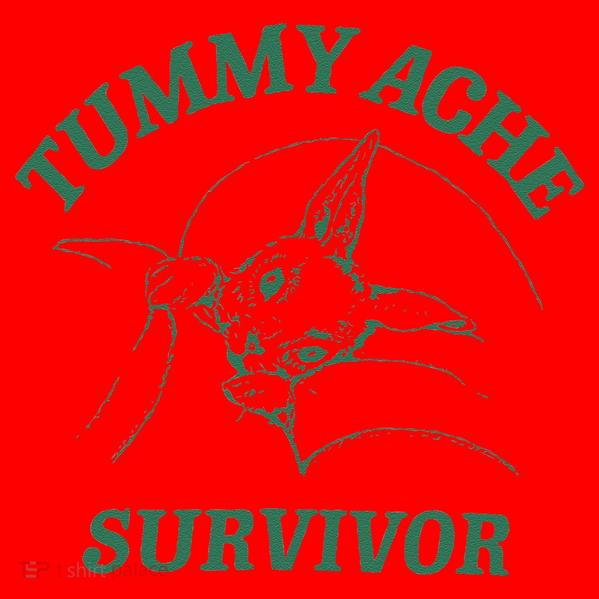 Tummy Ache Survivor Funny Rabbit Meme Bunny Lover Santa Hat