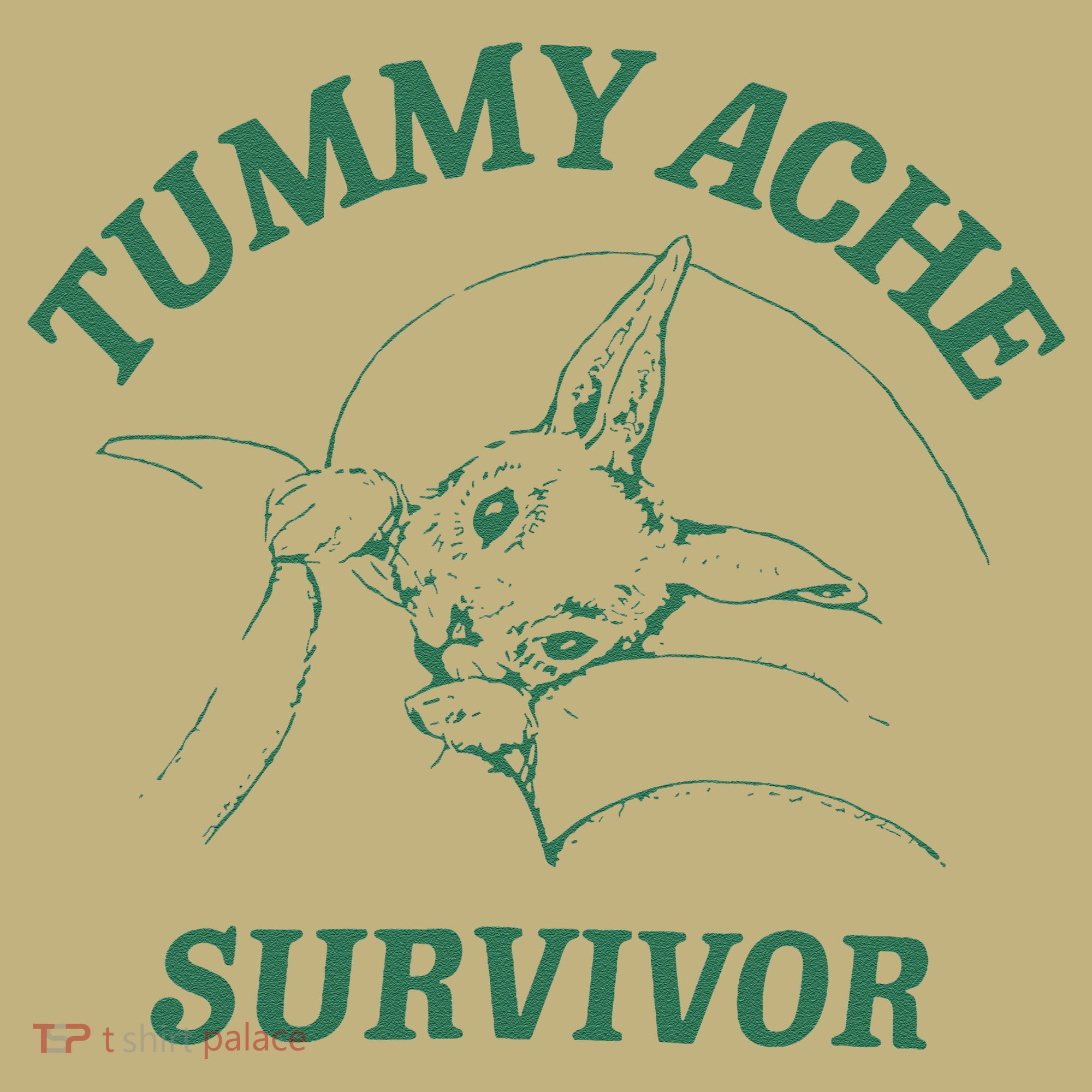 Tummy Ache Survivor Funny Rabbit Meme Bunny Lover Kids T-Shirt