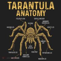Tarantula Anatomy Spider Arthropod Arachnid Arachnophile Women's Sweatshirt thumb 2