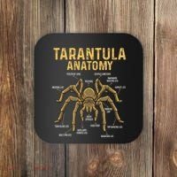 Tarantula Anatomy Spider Arthropod Arachnid Arachnophile Coaster thumb 0