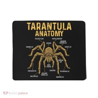 Tarantula Anatomy Spider Arthropod Arachnid Arachnophile Mousepad