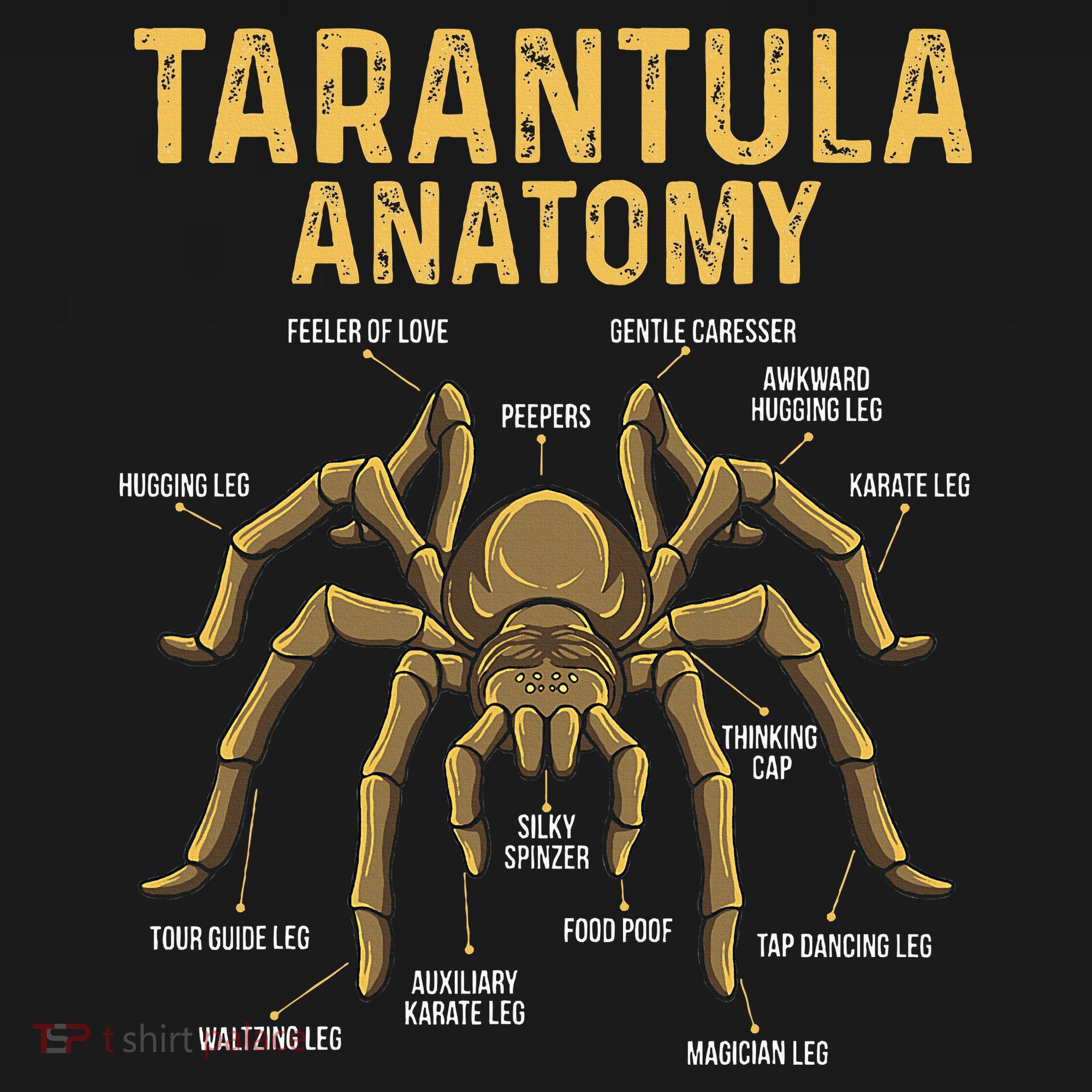 Tarantula Anatomy Spider Arthropod Arachnid Arachnophile Mousepad