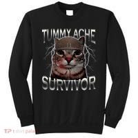 Tummy Ache Survivor Cat Meme Funny Saying Animals Sweatshirt thumb 0