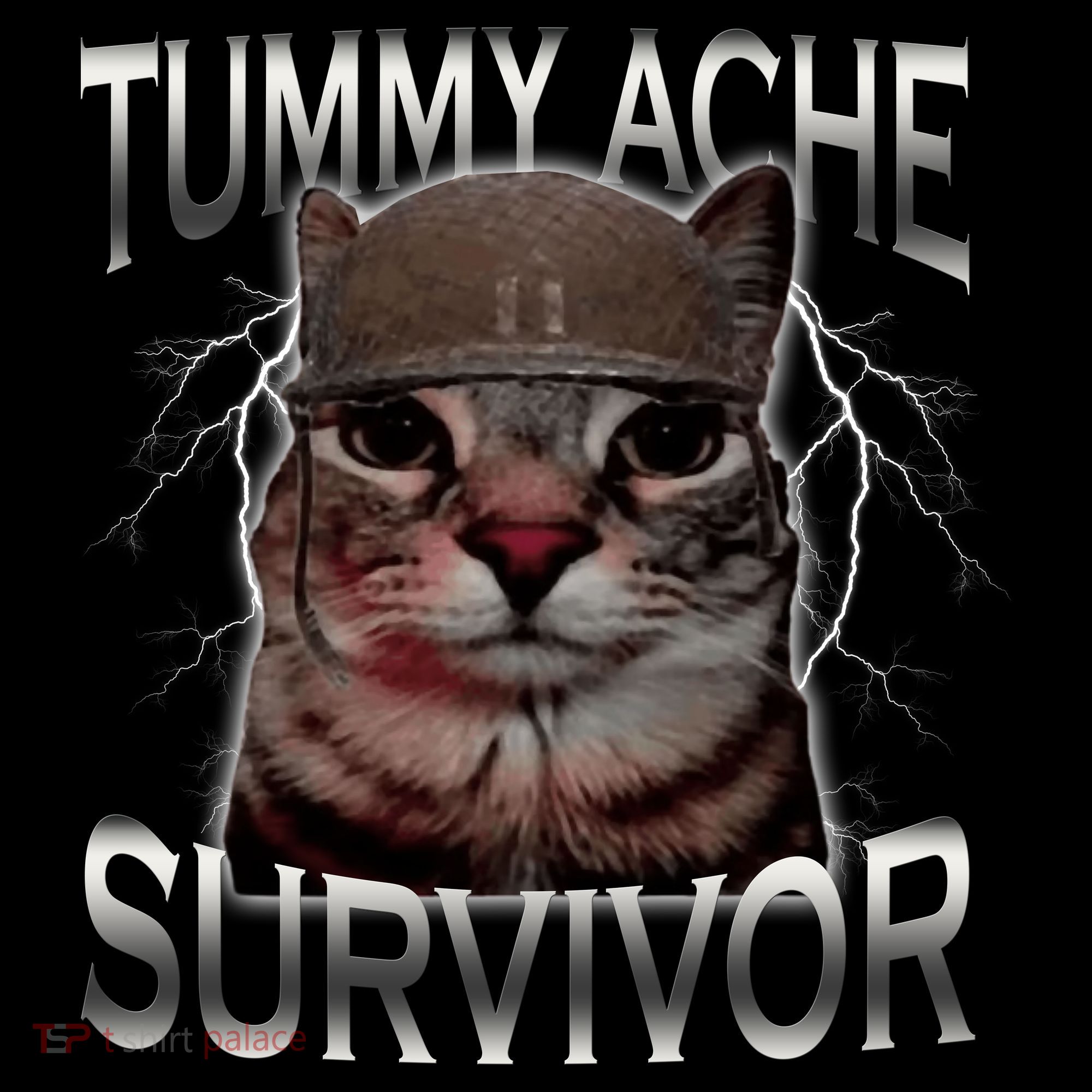 Tummy Ache Survivor Cat Meme Funny Saying Animals Coffee Mug