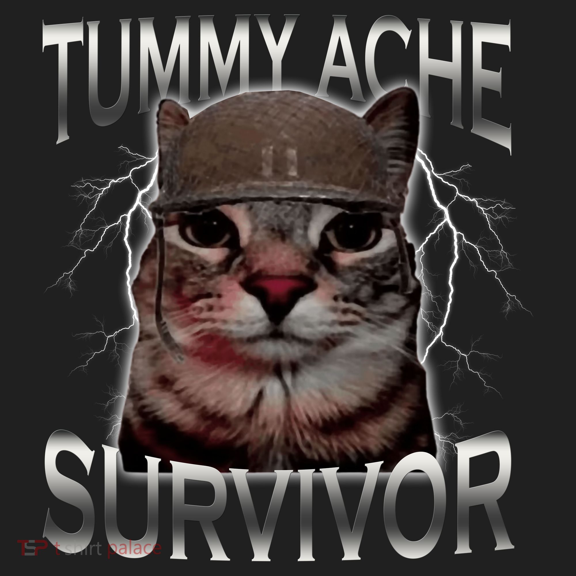 Tummy Ache Survivor Cat Meme Funny Saying Animals Beanie