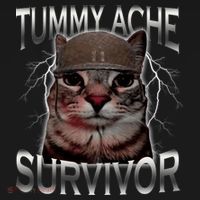 Tummy Ache Survivor Cat Meme Funny Saying Animals Women's Hoodie thumb 2