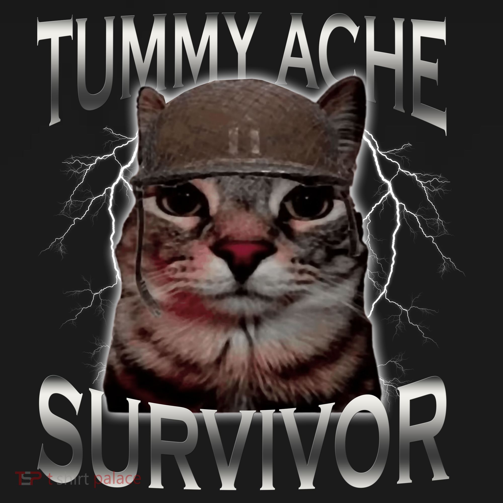 Tummy Ache Survivor Cat Meme Funny Saying Animals Women's Hoodie
