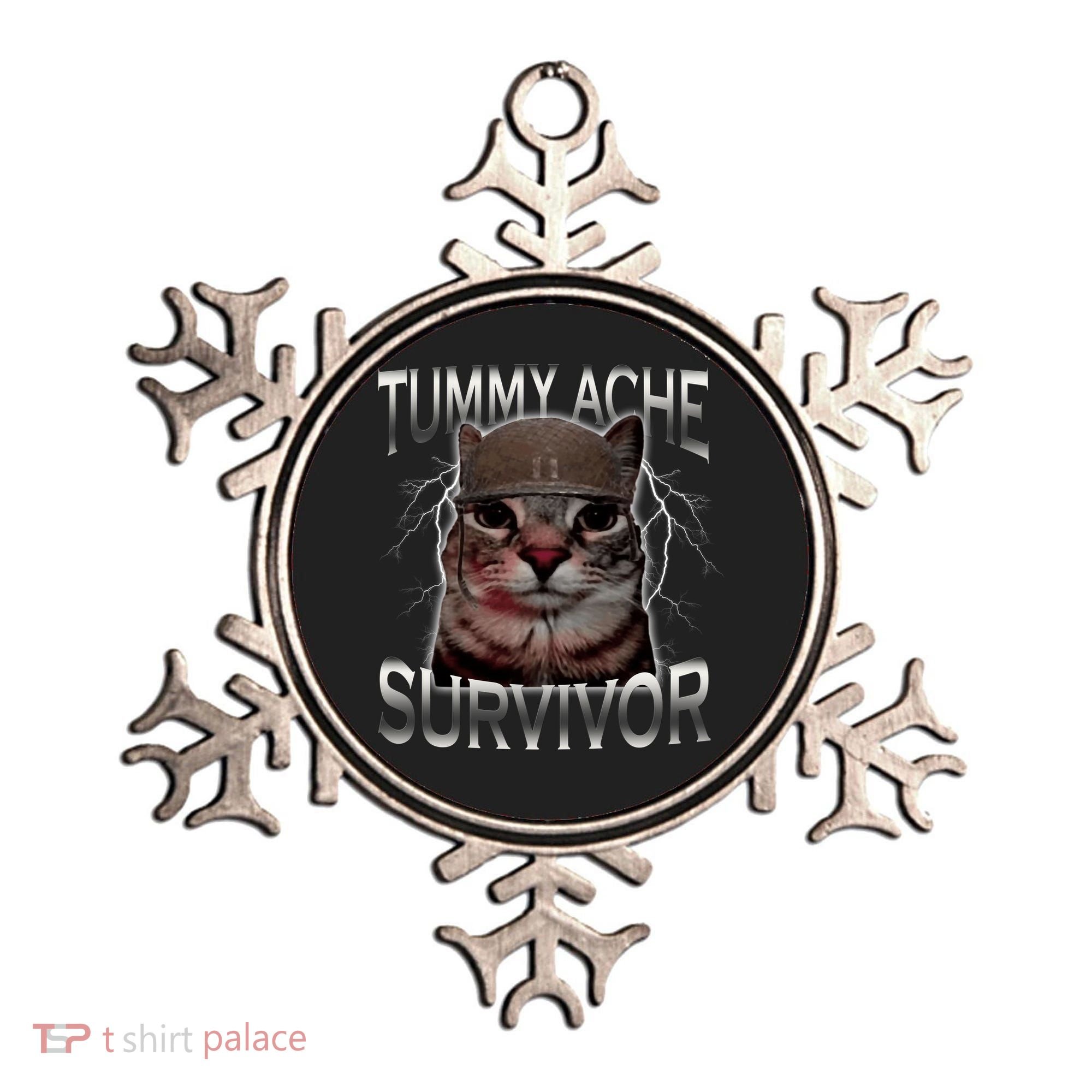 Tummy Ache Survivor Cat Meme Funny Saying Animals Ornament