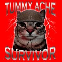 Tummy Ache Survivor Cat Meme Funny Saying Animals Santa Hat thumb 1