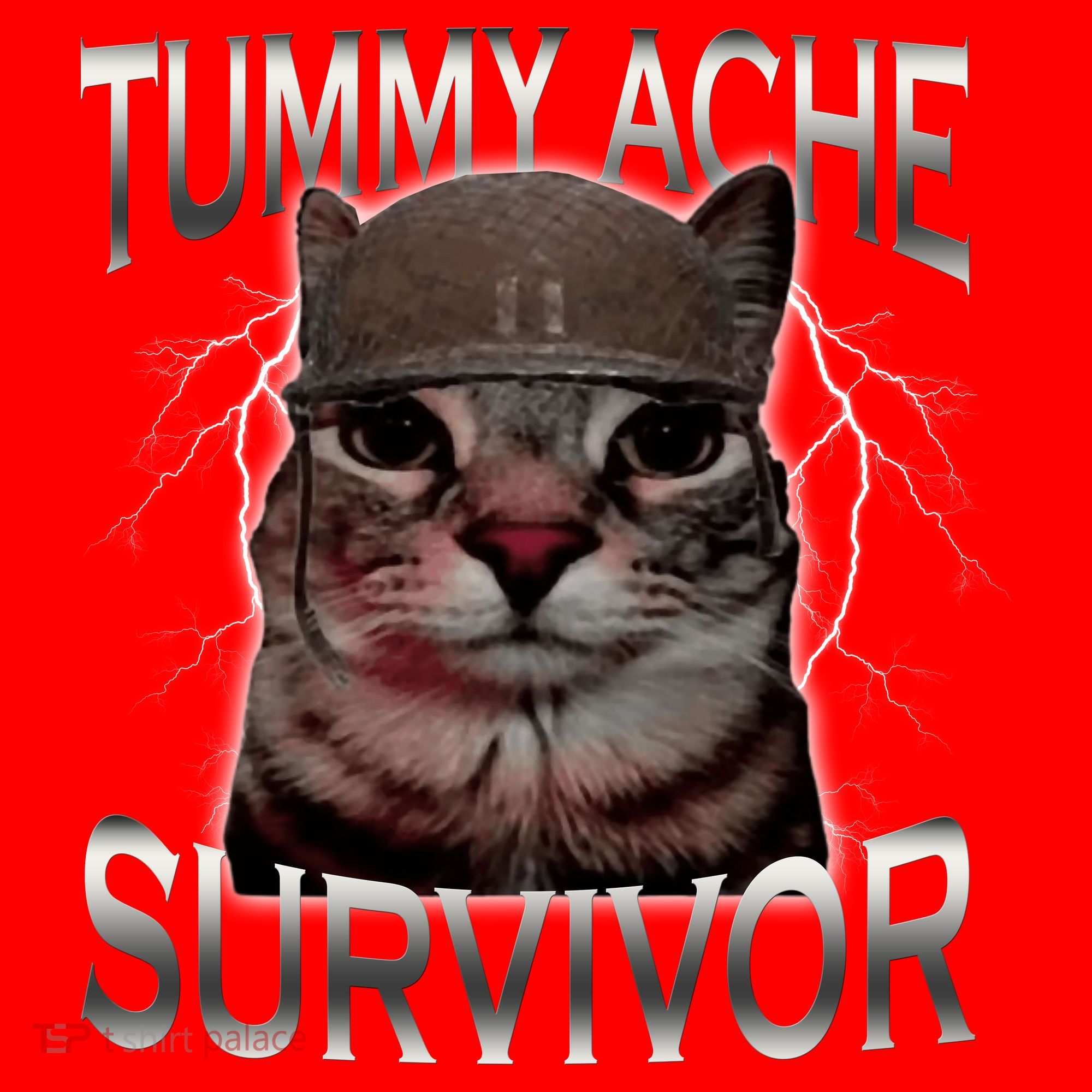 Tummy Ache Survivor Cat Meme Funny Saying Animals Santa Hat