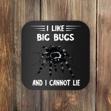 Tarantula Arthropod Spider Phobia Big Bugs Tarantula Spider Coaster