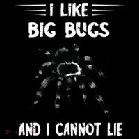 Tarantula Arthropod Spider Phobia Big Bugs Tarantula Spider Women's Hoodie thumb 2
