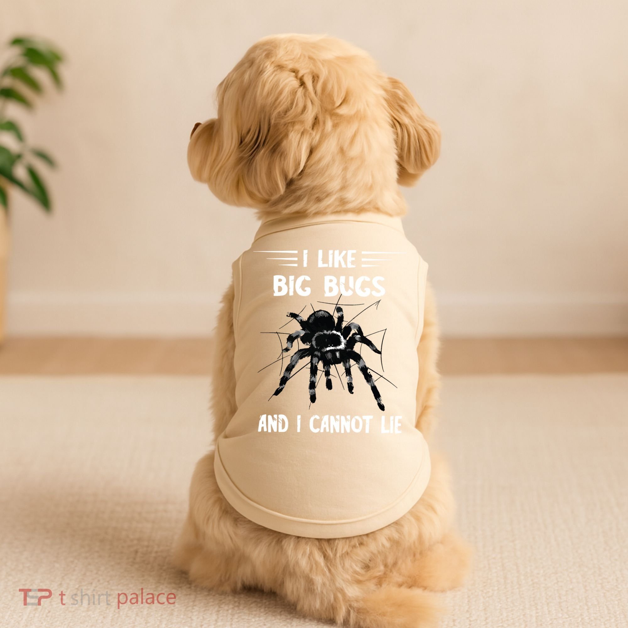Tarantula Arthropod Spider Phobia Big Bugs Tarantula Spider Doggie Tank
