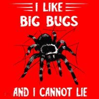 Tarantula Arthropod Spider Phobia Big Bugs Tarantula Spider Santa Hat thumb 1