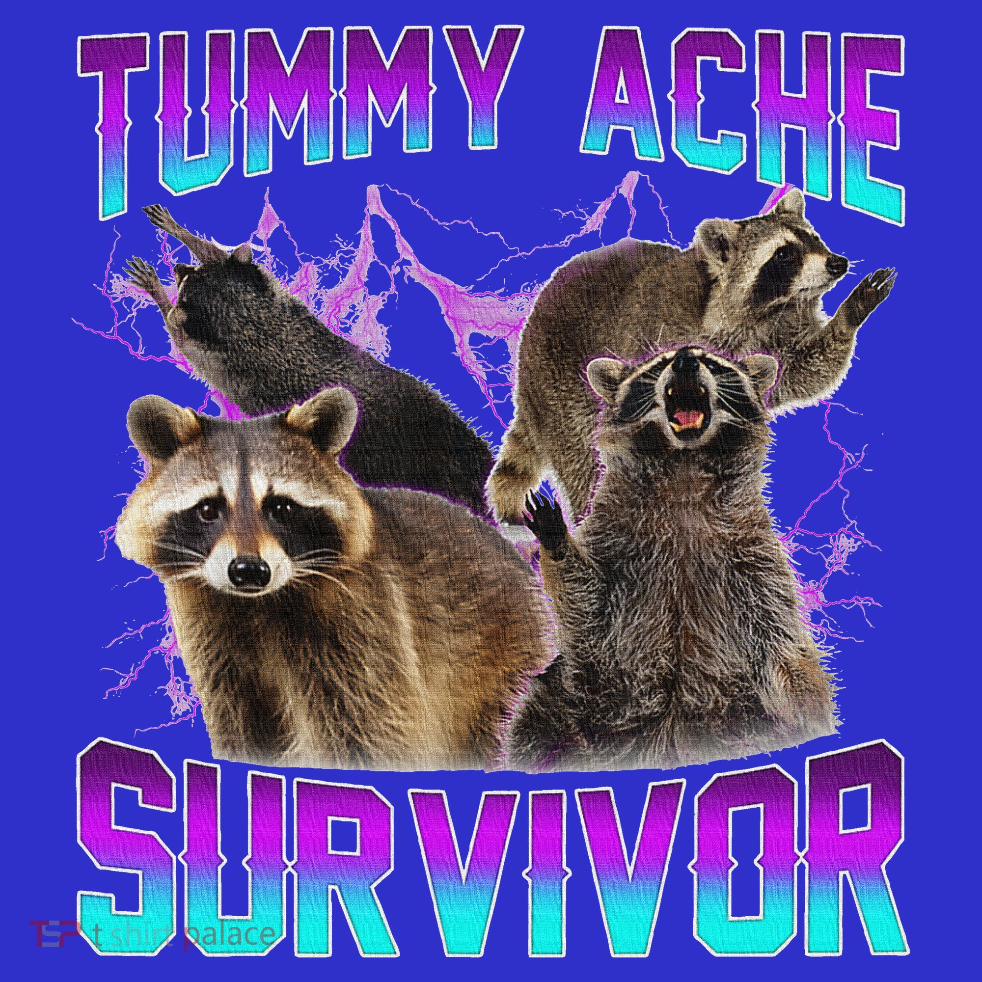 Tummy Ache Survivor Raccoon Hoodie