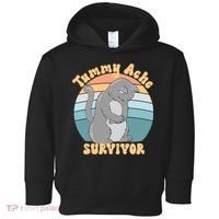Tummy Ache Survivor Cat Toddler Hoodie thumb 0