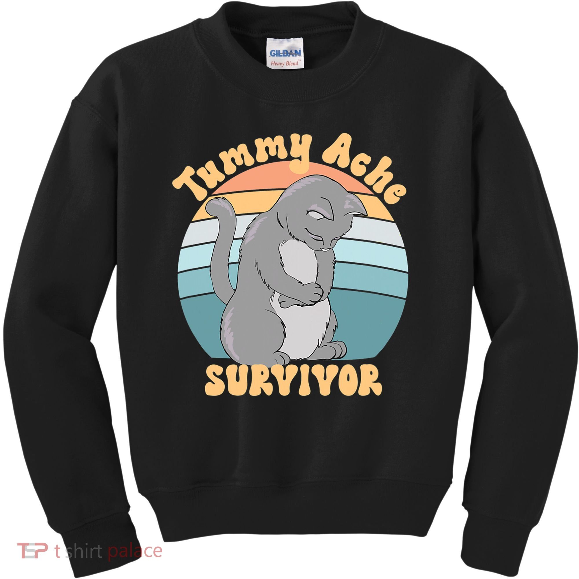 Tummy Ache Survivor Cat Kids Sweatshirt