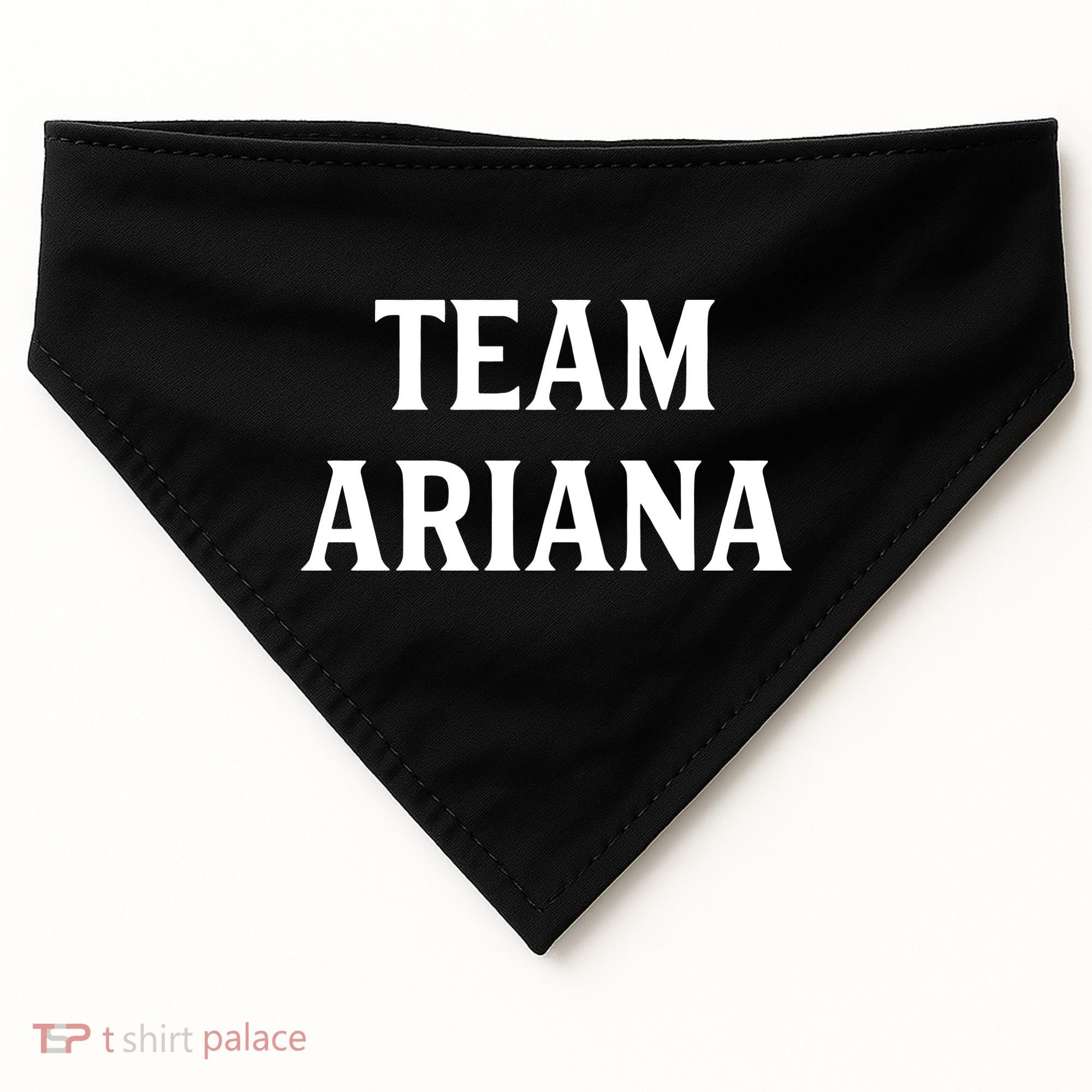 Team Ariana USA-Made Doggie Bandana